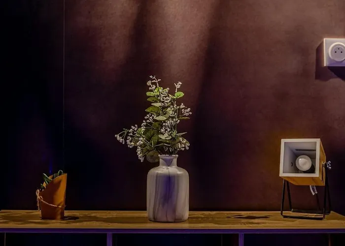 L'entre Du Desir - Intimite & Plaisir - Hypercentre Apartment *